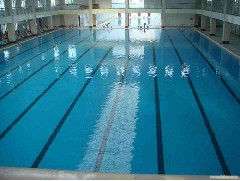 泳池工程公司：游泳館的特點